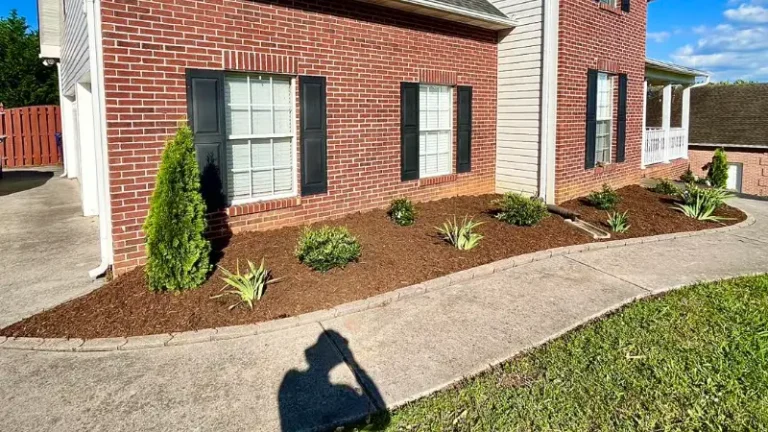 Why You Should Add Fresh Mulch to Your Landscape & Garden Beds