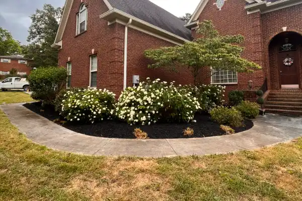 Garden Bed Construction