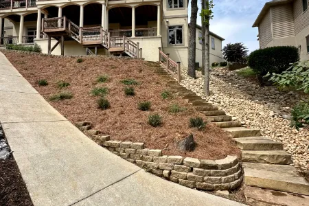 Medium Sized Low Maintenance Landscape